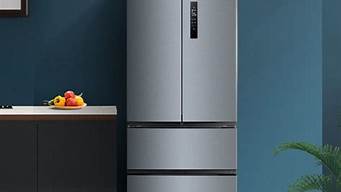 美的电冰箱220um_美的电冰箱220升的价格