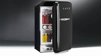 意大利smeg冰箱_意大利smeg冰箱制冷剂是什么型号